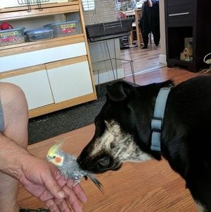 Meet your Posher, Cindy